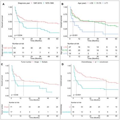 Primary Brainstem Lymphoma: A Population-Based Study